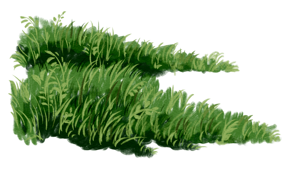 Weed Sanctuary 101: How to Annoy Your Garden Guru Neighbour, the Uncle Bobby Way!