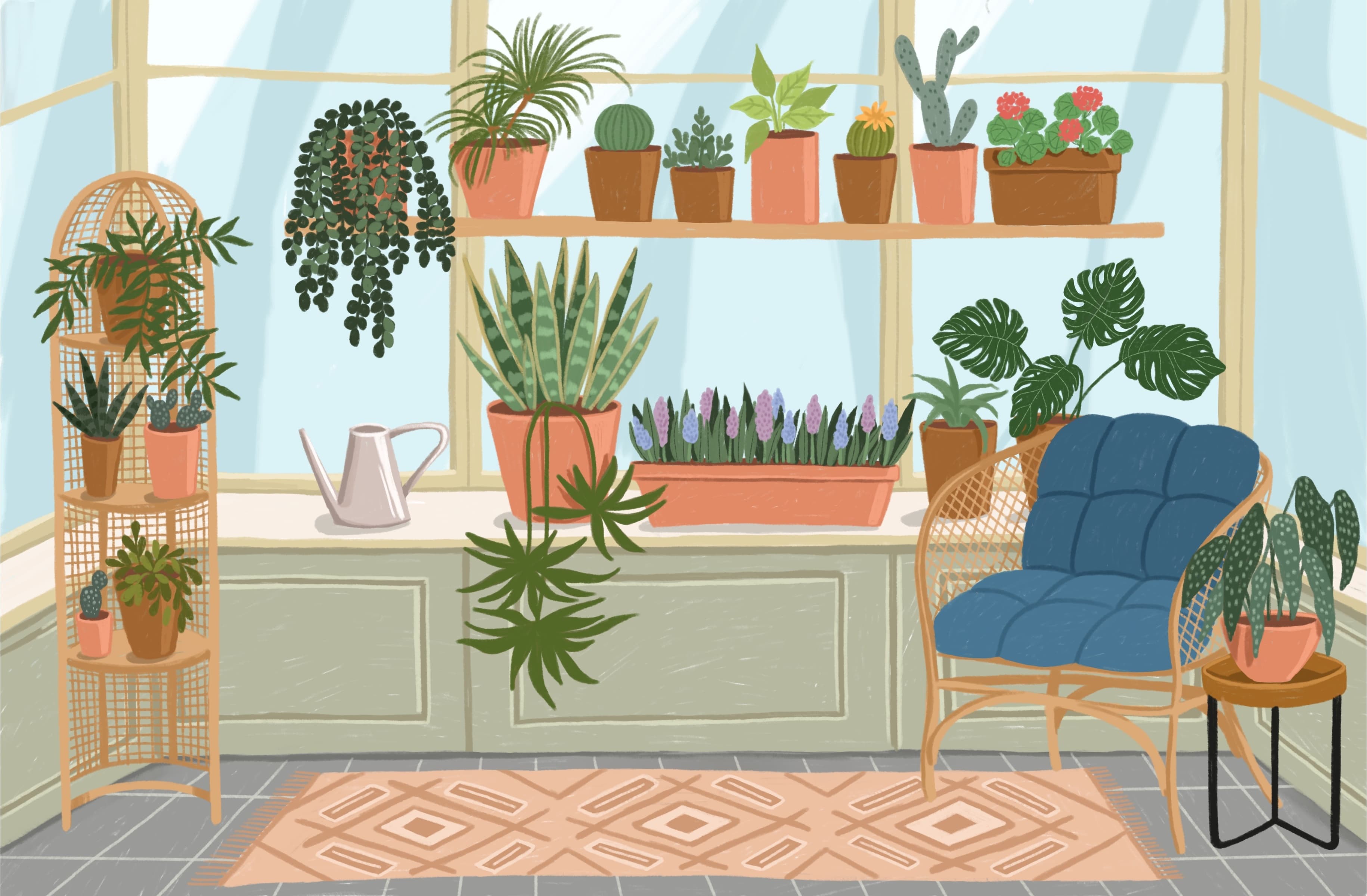 Houseplant Obsession: Surviving the Jungle or Evicting the Leafy Overlords?